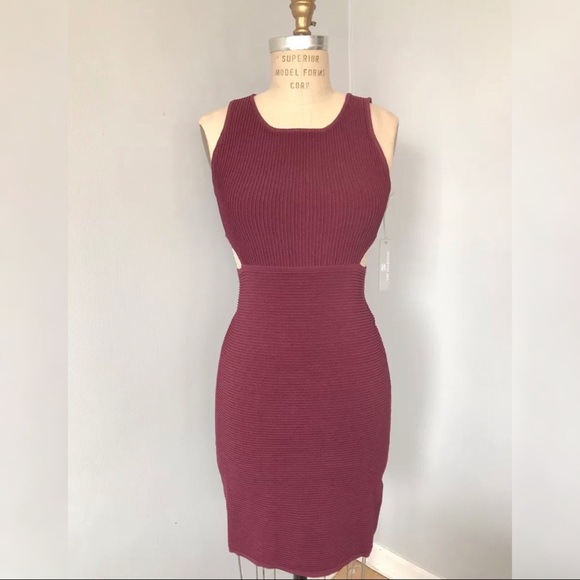 Tart Collections Dresses & Skirts - NWT Tart Collections Ribbed Bodycon Cutout Dress